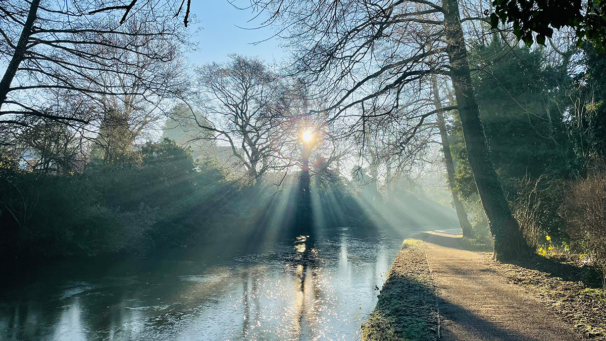 Sunlight through trees in Trentham, Staffordshire, reflects off the surface of a river 