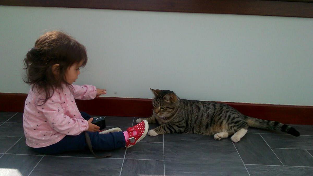 A young girl, wearing a pink top and red shoes, playing with a tabby cat on a tiled floor 
