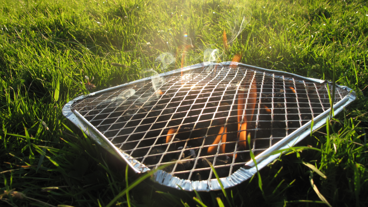 A disposable barbecue pictured in a park