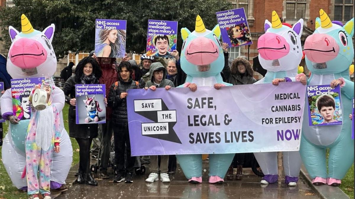 The protesters outside Parliament