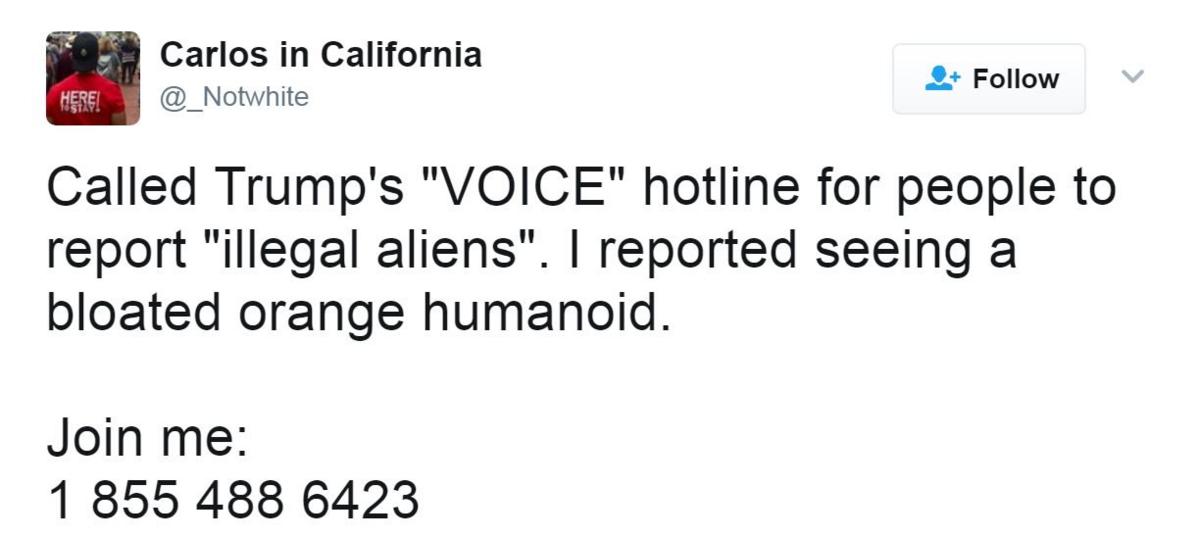 Tweet reads: Called Trump's "VOICE" hotline for people to report "illegal aliens". I reported seeing a bloated orange humanoid.