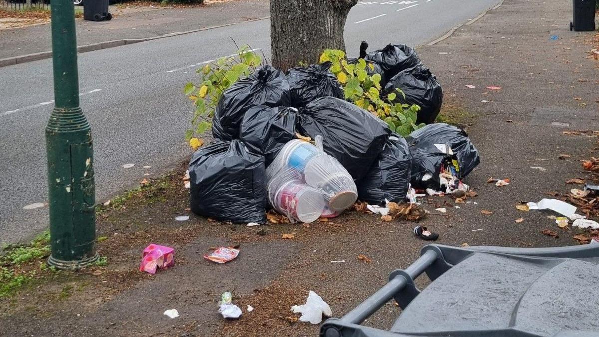 Nine black bin bags are next to a tree by a road. Some rubbish is also loose on the pavement and a wheelie bin is in the foreground.