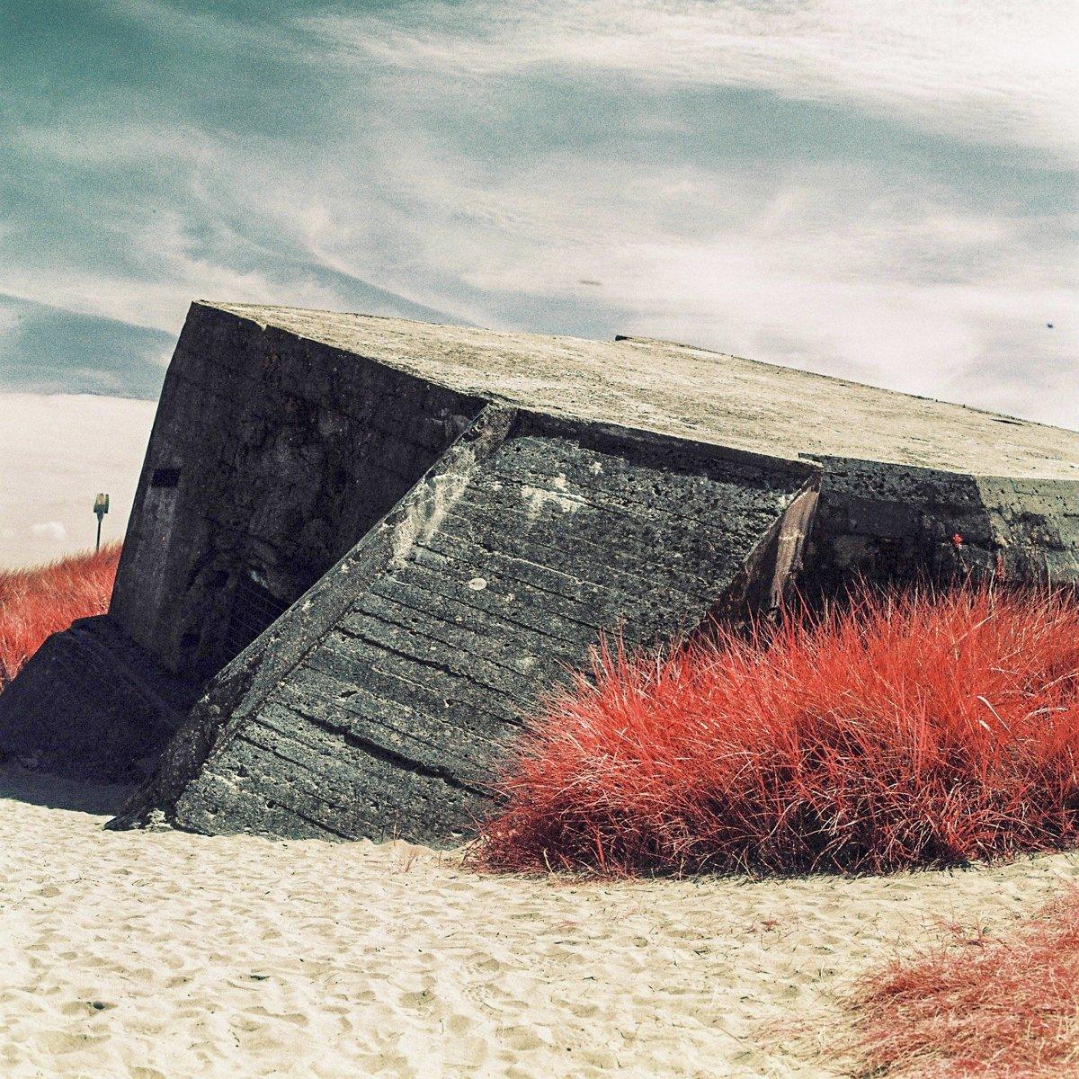 Infrared photograph of a bunker, surrounded by plants and sand