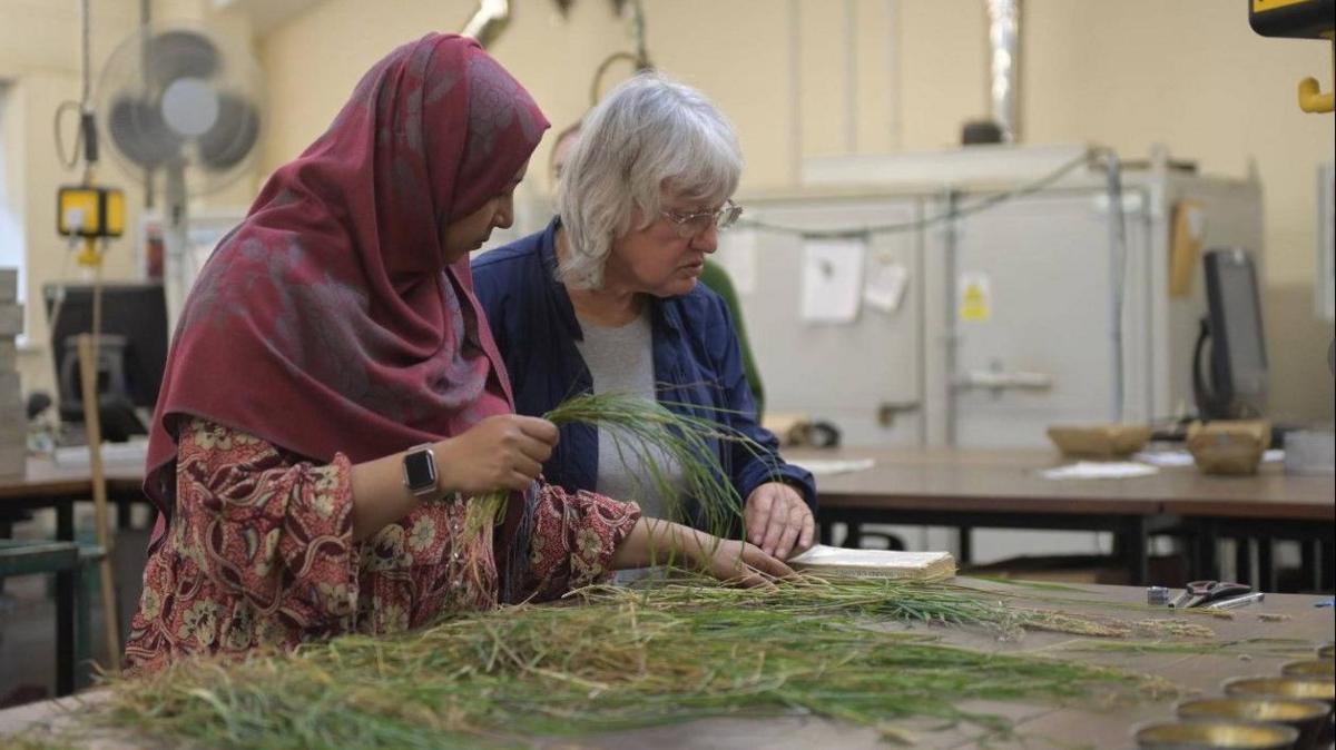 World's Oldest Grassland Experiment Marks 170 Years