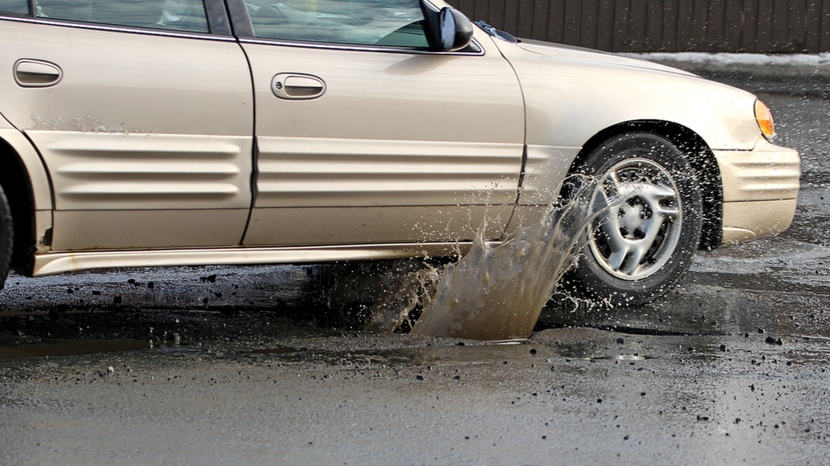 Cat hits pothole in wet weather