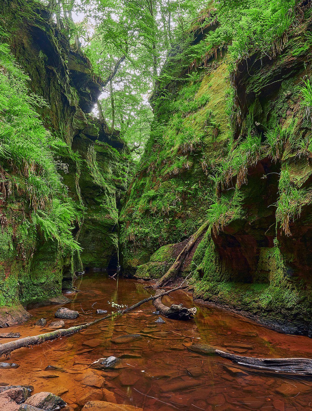 A shallow section of river with a narrow vegetation clad gorge in the background