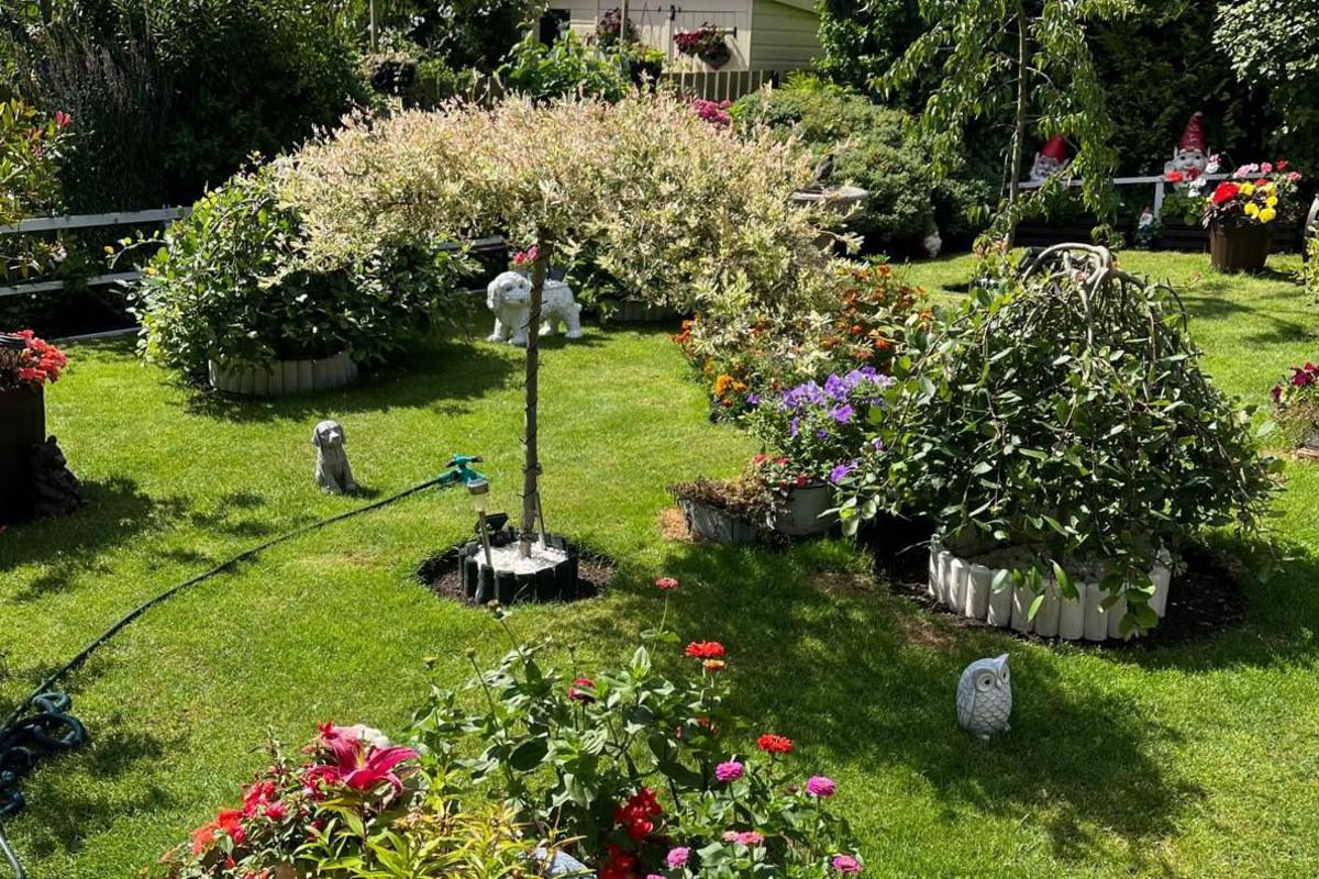 A beautiful back garden with bushes and flowers dotted around a green lawn. A small owl statue can be seen in a shadow cast by a tree in the centre of the lawn.