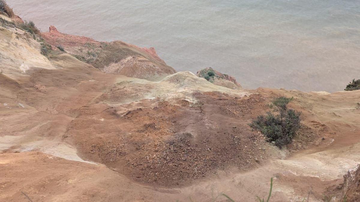 A large pile of rock and sand at the bottom of the cliff following the landslide. Greenery, which has been pulled down along with the cliff fall, is sitting in the pile of rock. The sea is at the bottom of the cliff. 