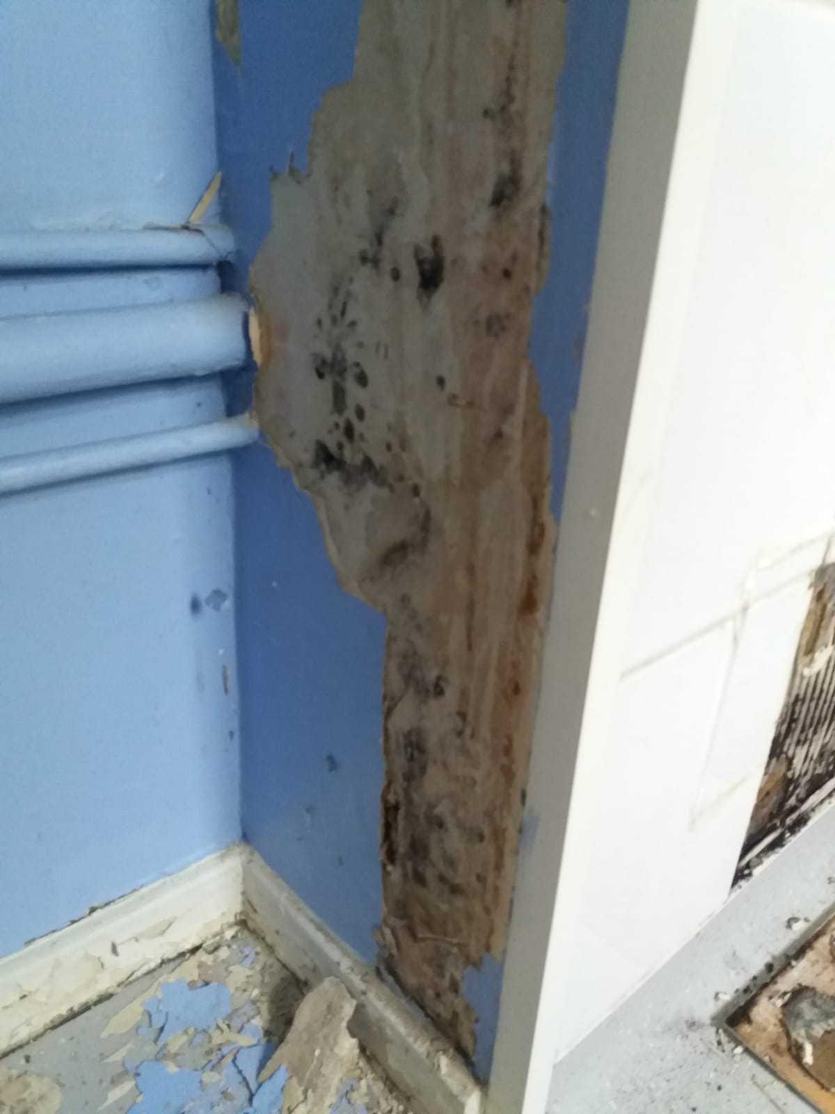 Mould in Jonathan Godsell's flat