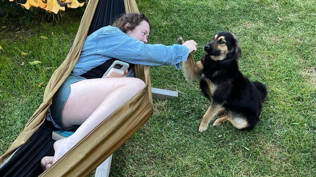Mirelle Radley is a woman lying sideways in a hammock on a green lawn. She is wearing denim shorts and a blue blouse and has long, wavy brown hair. She has a mobile phone in one hand. Her other hand is reaching out to a black and brown dog that is putting a paw up to greet her.