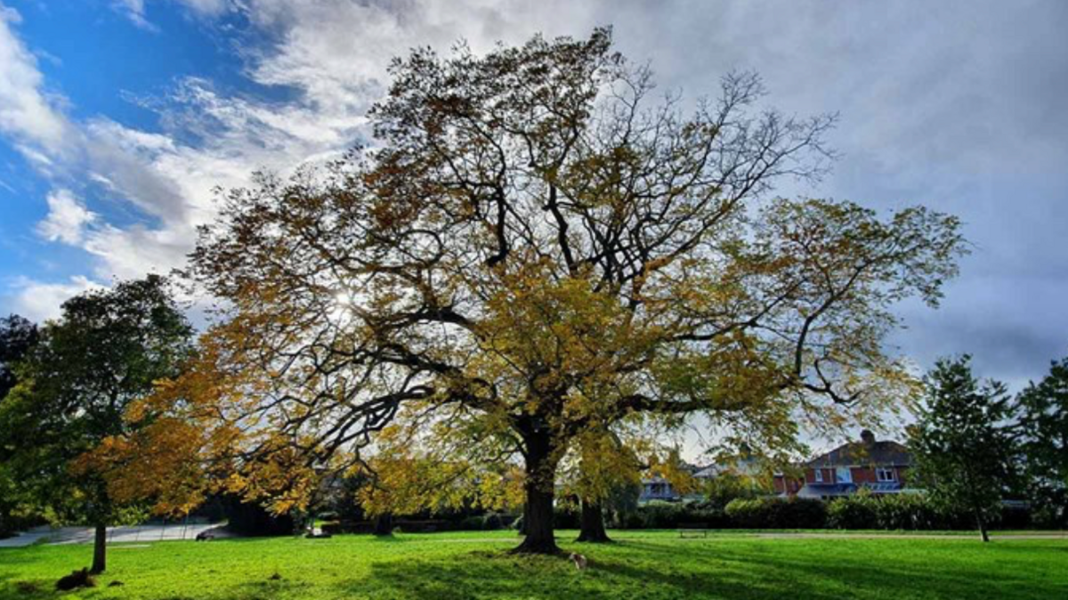 Heavitree Pleasure Ground