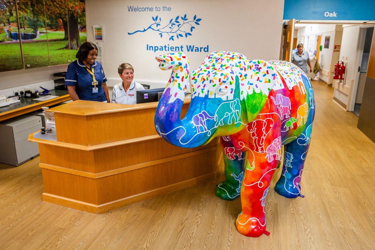 Elephant sculpture in hospice reception