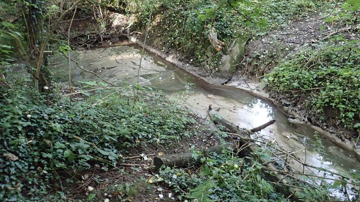 Discharged sewage in West Meadow Brook, near Whitwick, Leicestershire, in September 2022