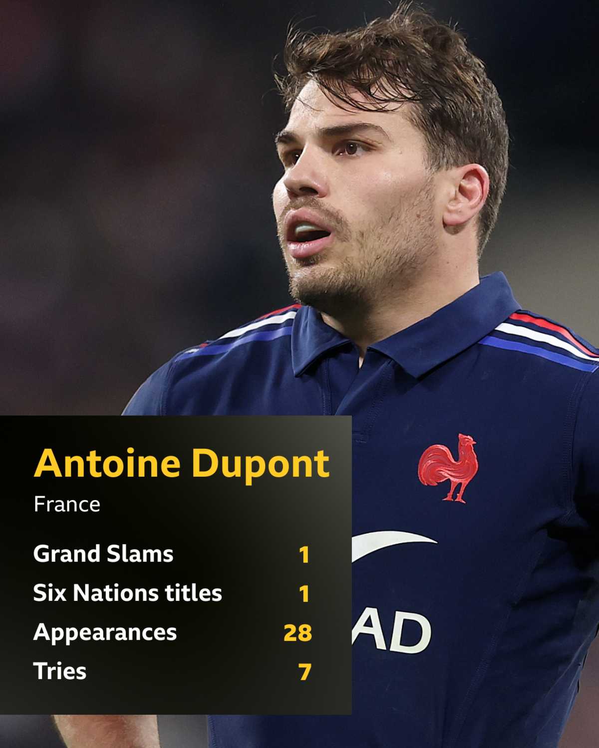 Antoine Dupont Six Nations stats - Grand Slams 1; Six Nations titles 1; Appearances 28; Tries 7