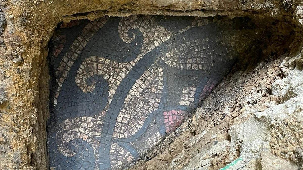 A Roman mosaic in the ground. It has a white pattern.