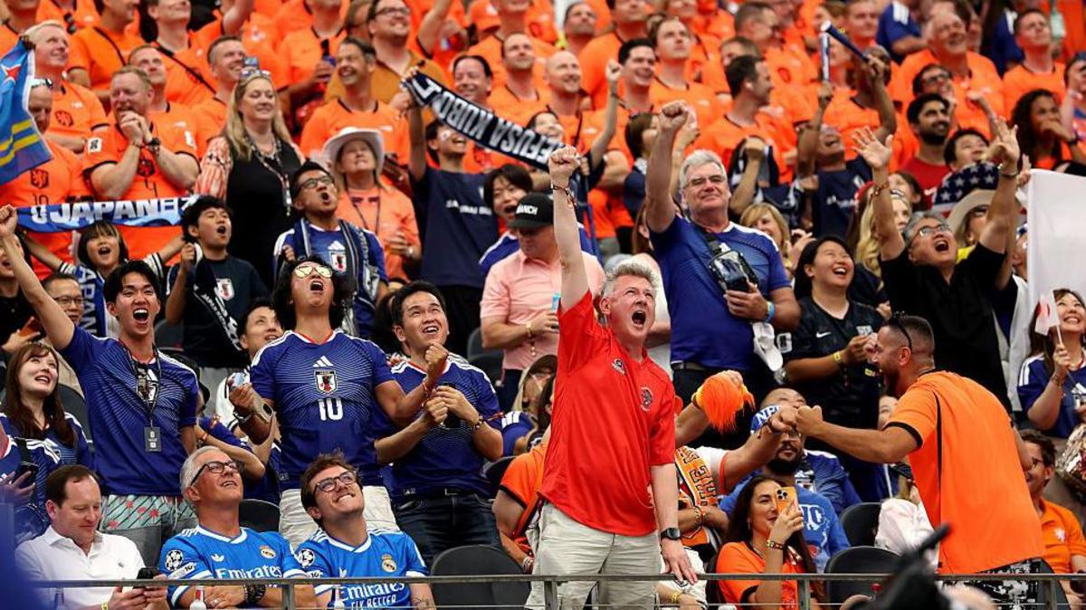 World Cup fan segregation lapse 'a risk', fans' chief
