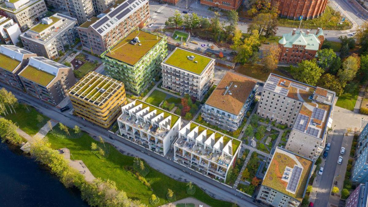 An aerial shot of the buildings with grass roofs in Sweden