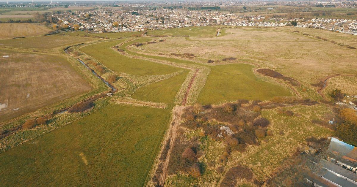 An aerial photo of Tudor Fields, a large open space covered in grass and trees. There are houses in the background of the image.