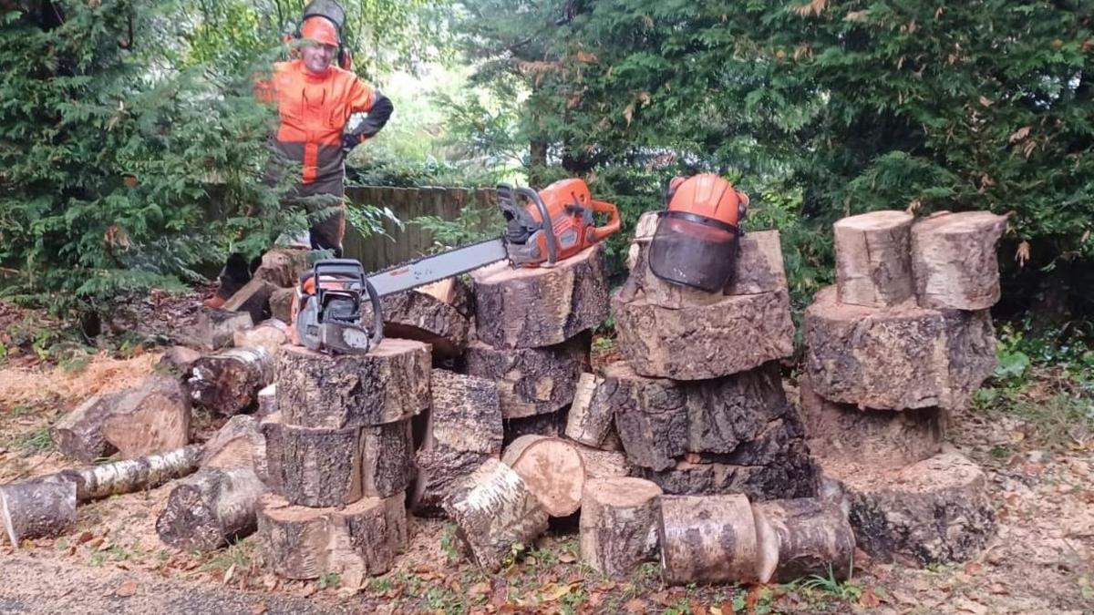 A man with a high vis jacket and safety helmet stands behind a big pile of logs on which two chainsaws sit.