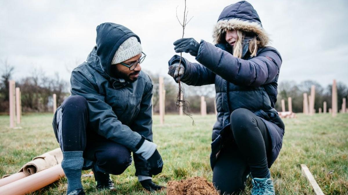 A man and a woman with trees