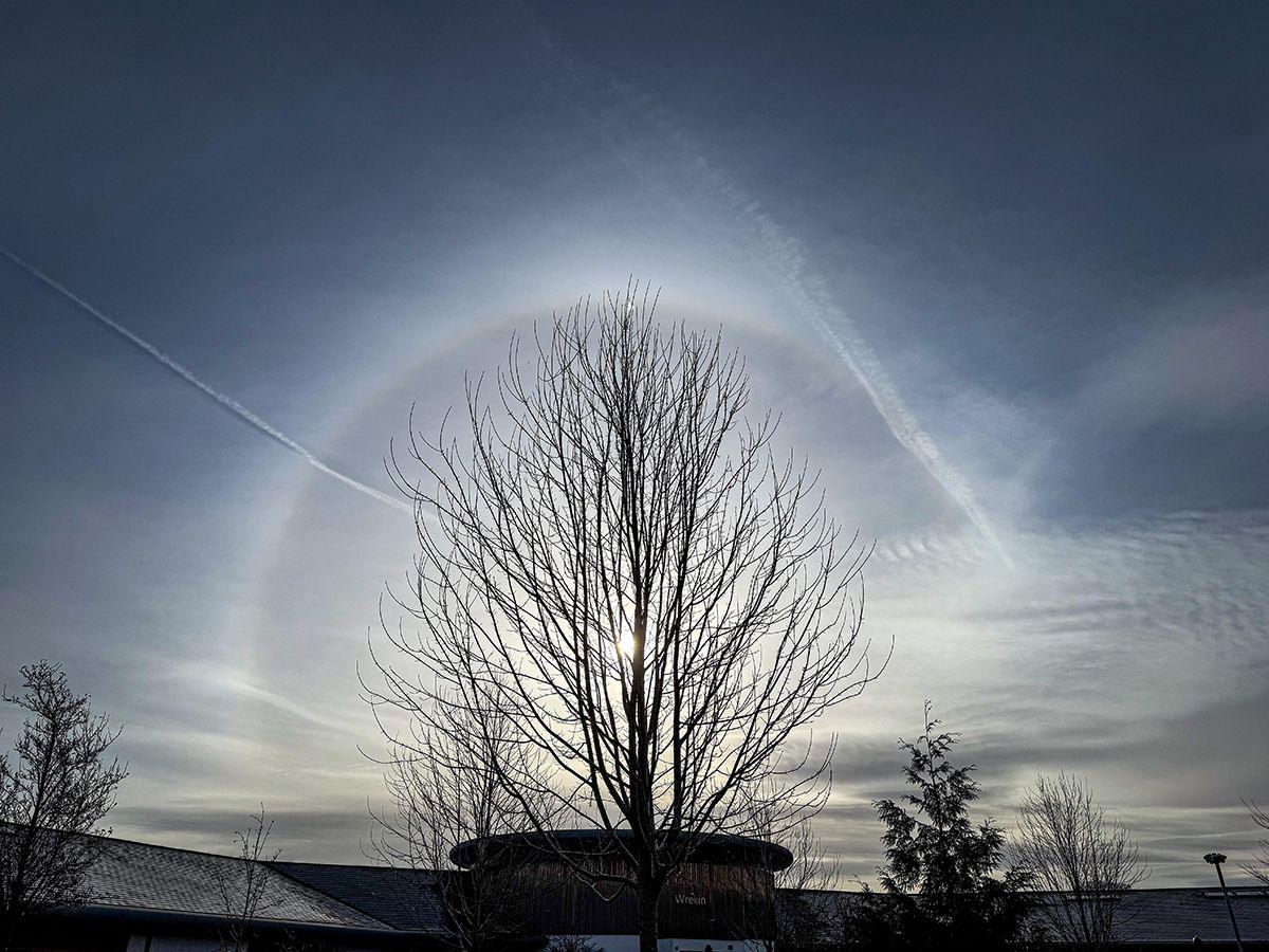 A weather halo in Bicton seemingly almost encircles a bare tree with little of a building in the background