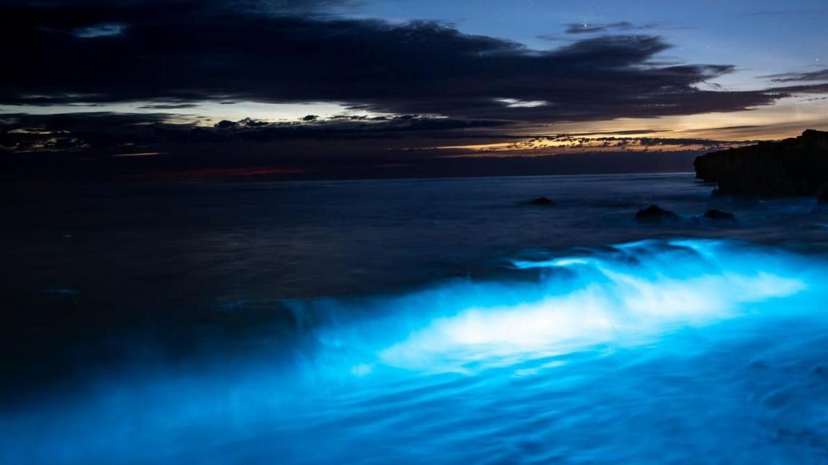 Bioluminescent plankton at Penmon Point. A bright blue glow can be seen in the crashing waves reaching the shore. There are dark clouds and stars in the sky. A light house can be seen in the far right of the image.