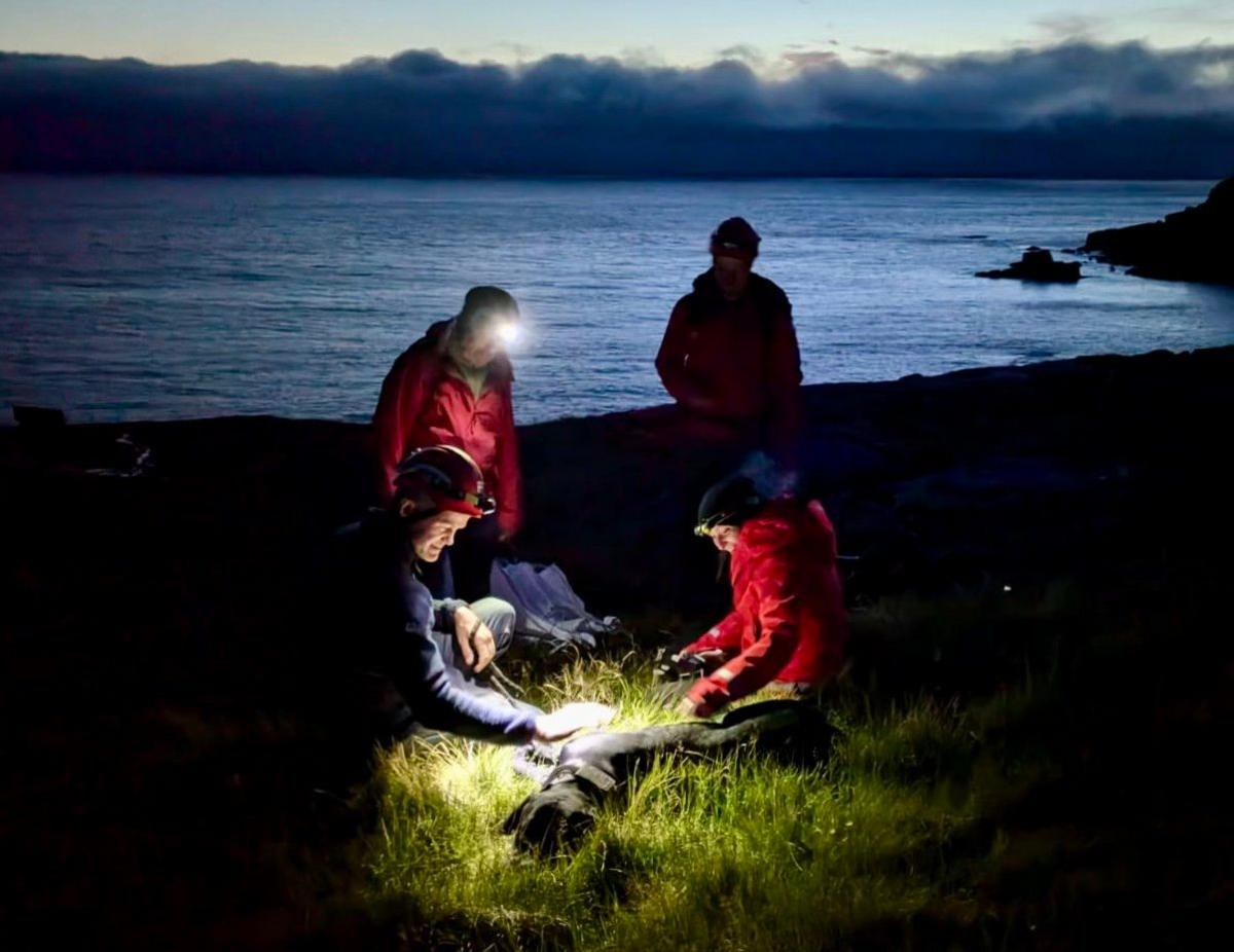 Assynt Mountain Rescue Team helping Loki