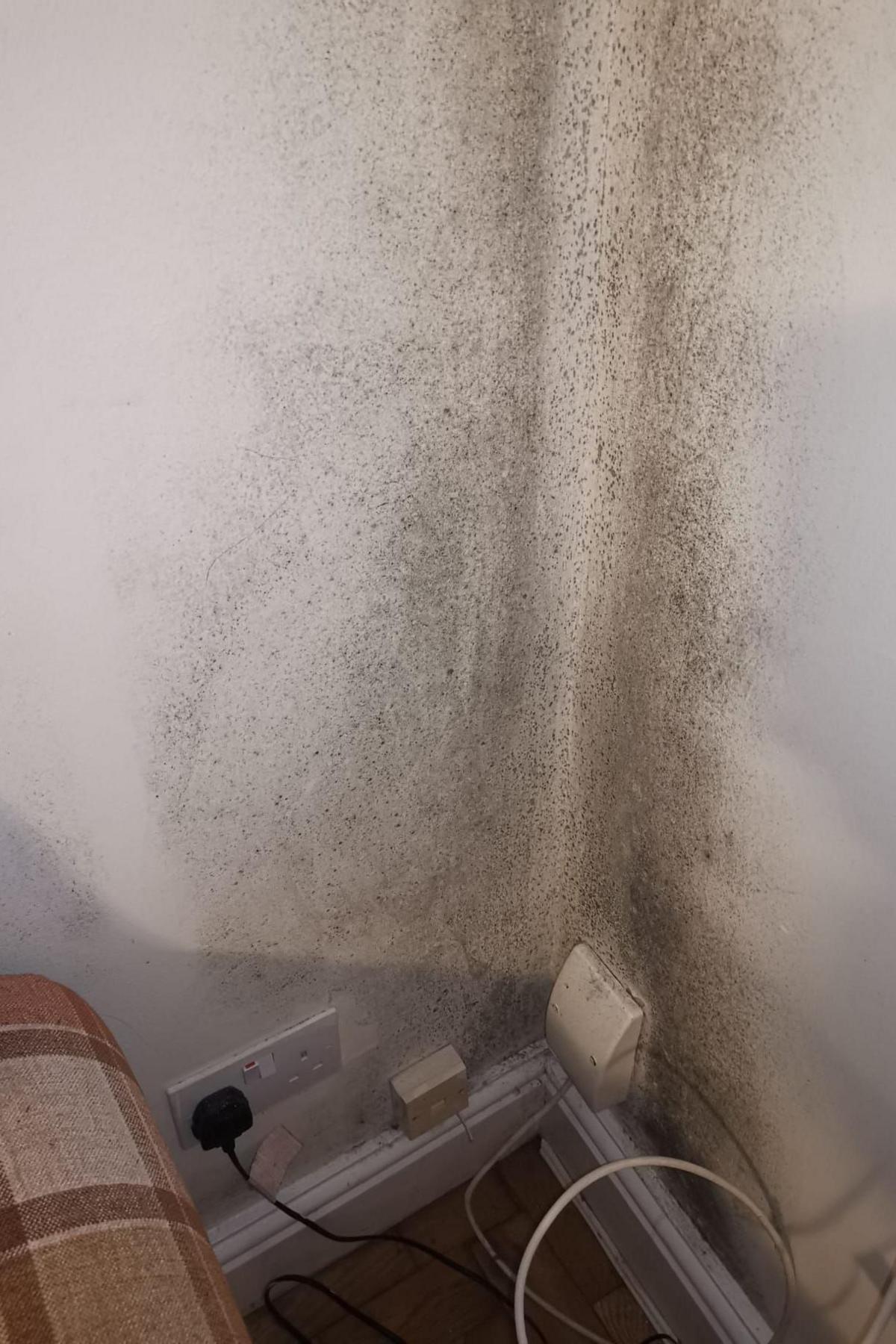 Mould in corner of wall