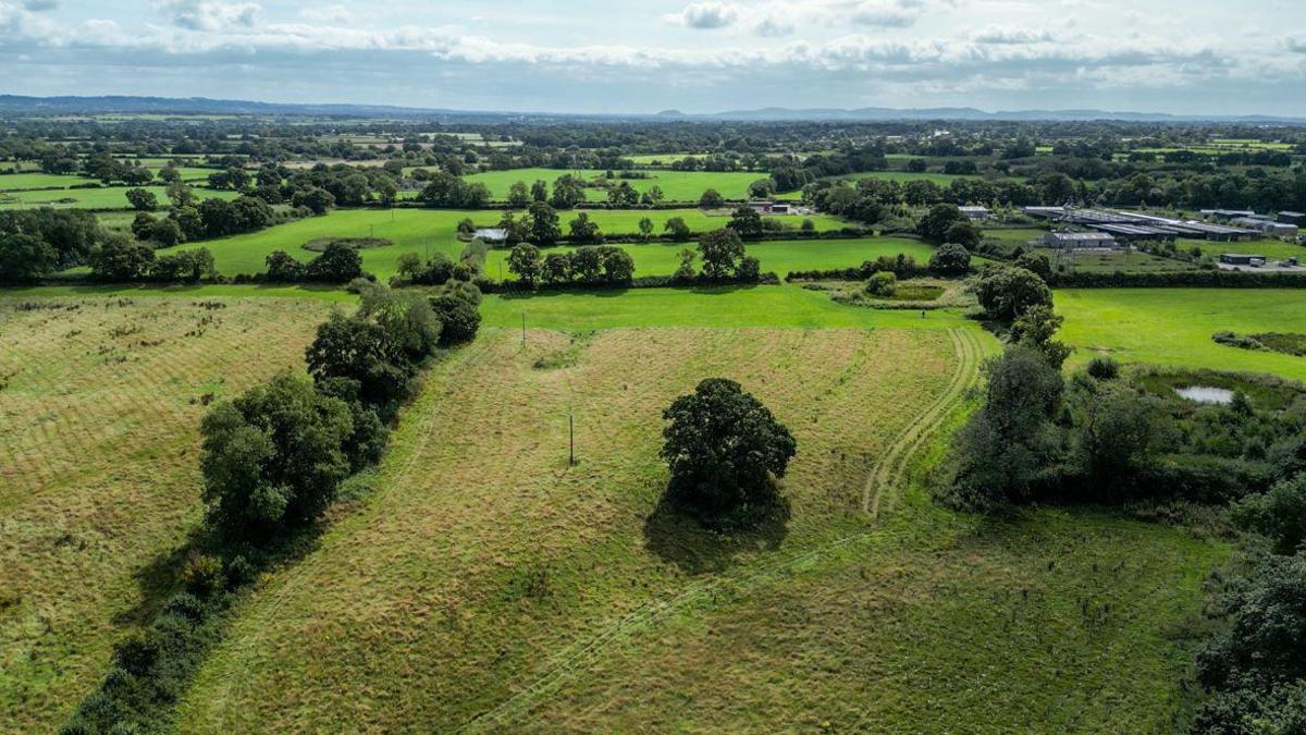 A large green field with a few large trees visible but the rest of the field is grassland with new trees planted