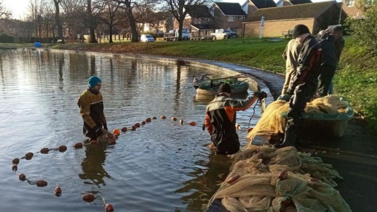 Two men in waders stood in a pond. On the side of the pond are a few other people stood next to large yellow nets. There is a green grass bank running around the pond with brown tree and houses on the top