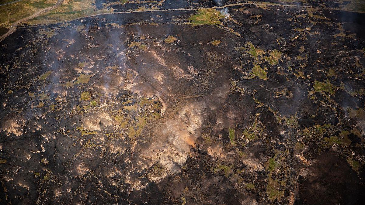 destroyed grassland from fire damage