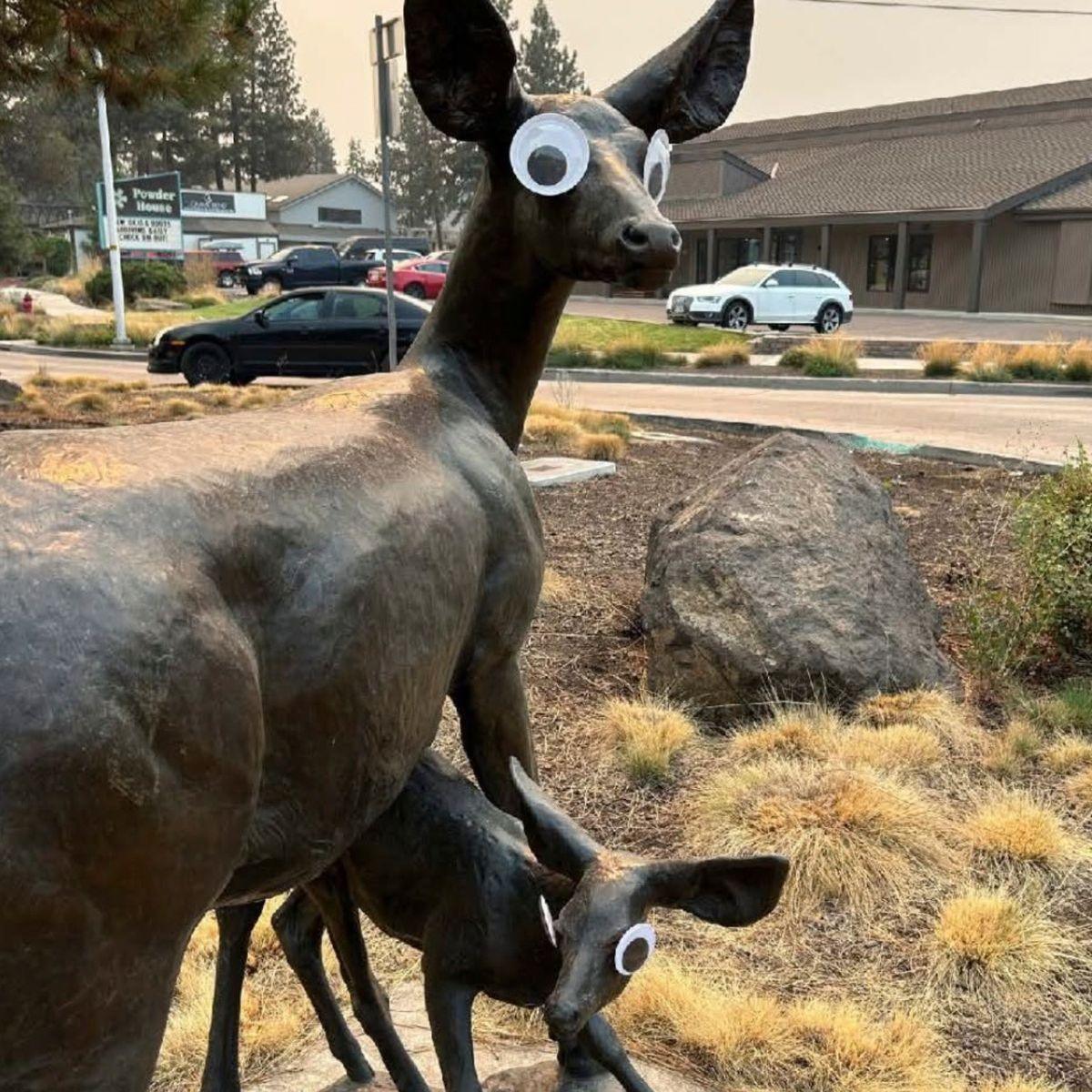 Deer with googly eyes