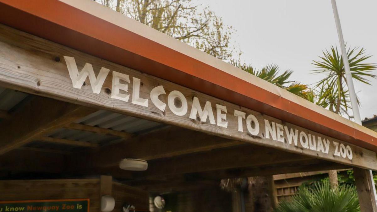 Wooden sign over the front entrance, with white writing saying Welcome to Newquay Zoo