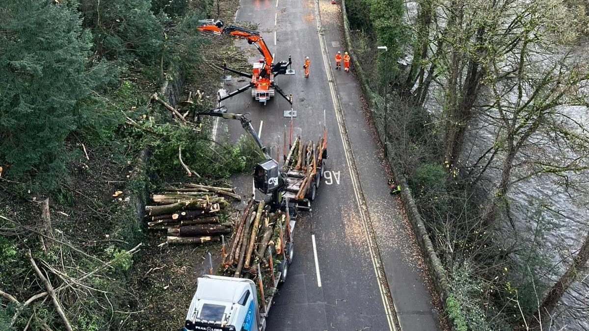 Heavy machinery being used to clear large trees hanging over a road