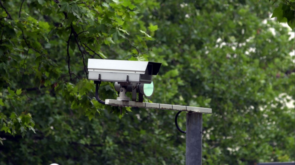 A CCTV camera on a pole in front of a tree's green leaves 