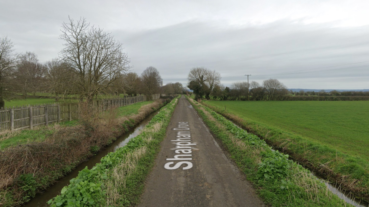 A google maps street view image of Sharpham Drove in Street. There is a narrow single track road, a tree and some fields in the image. There are also two stretches of water running parallel to the road. 