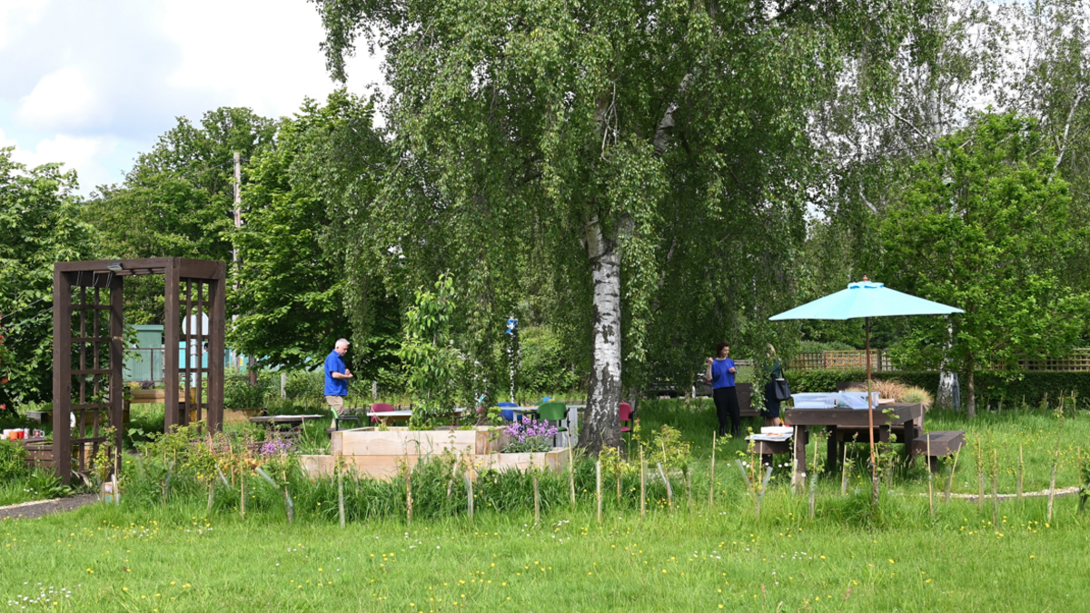 The Therapy Garden at St Ebba's in Epsom