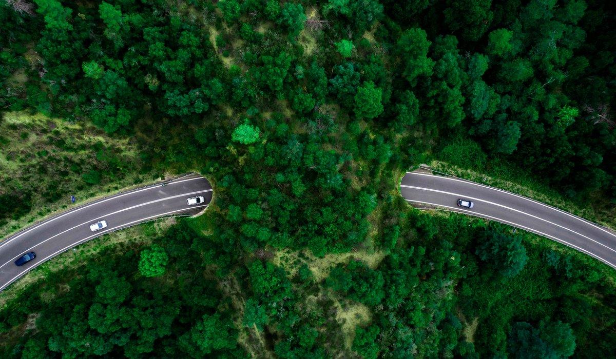 A road with a wildlife corridor of forest allowing wildlife to cross safely