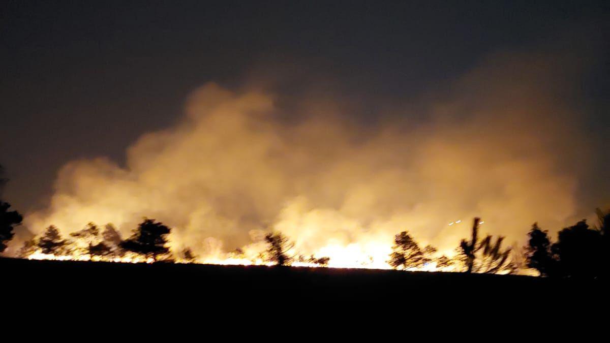 Black silhouette outline of trees in a field. There are yellow/gold flames rising from behind the trees and smoke in the sky. It's nighttime.