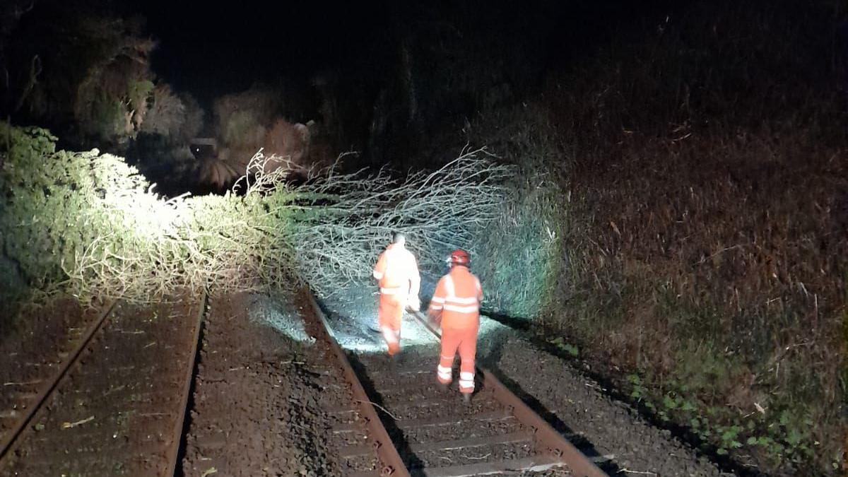 Two workers dressed in an orange high visibility jacket and trousers work at a railway line. It's night time and a large tree is blocking the line in front of them.