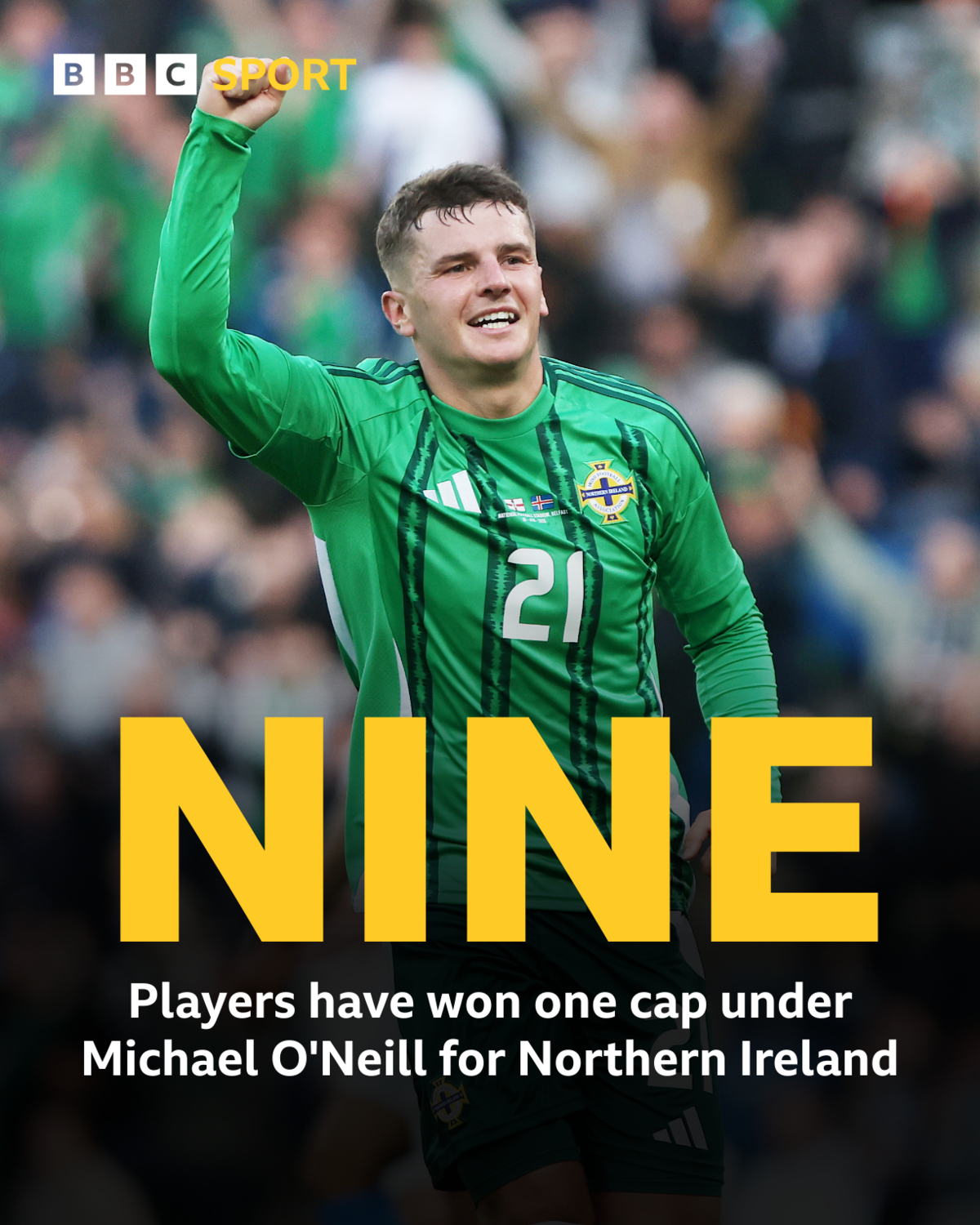 One cap players under Michael O'Neill