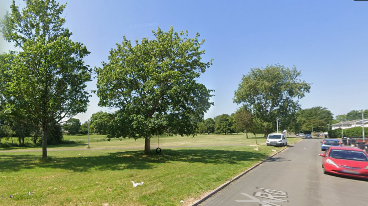 Green park on a sunny day with three trees set against a blue sky. A tyre swing can be seen hanging from one tree. There is a road nearby with several parked cars.