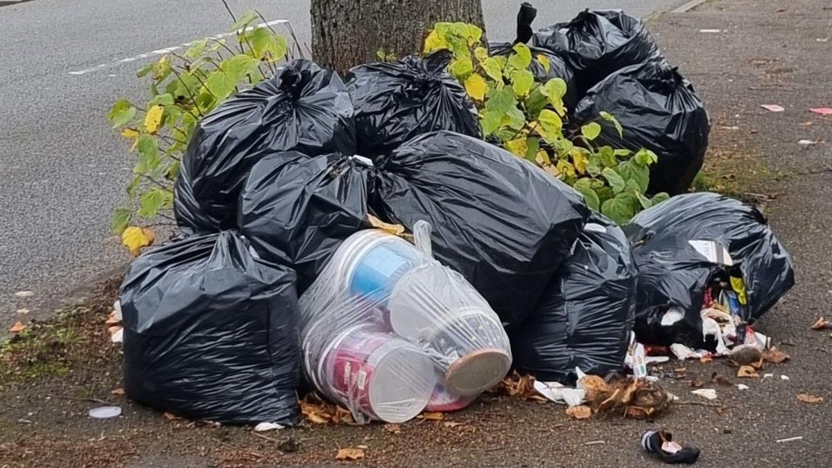 Nine black bin bags next to a tree by a road. Some rubbish is loose on the pavement.