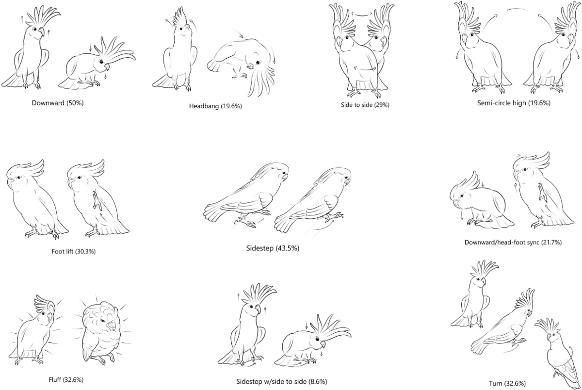 Illustration of the 10 most common recorded dance movements. There is Downward: like a bow down, Headbang, Side to side: Where the bird moves its body side to side, Semi-circle high: The bird moves its head in a semi circle up and down, Foot lift, Side step, Downward/head-foot sync: Where the bird moves its head down and as it lifts it up it also lifts its foot, Fluff: Where the bird fluffs out its feathers, Side step with side to side and turn.