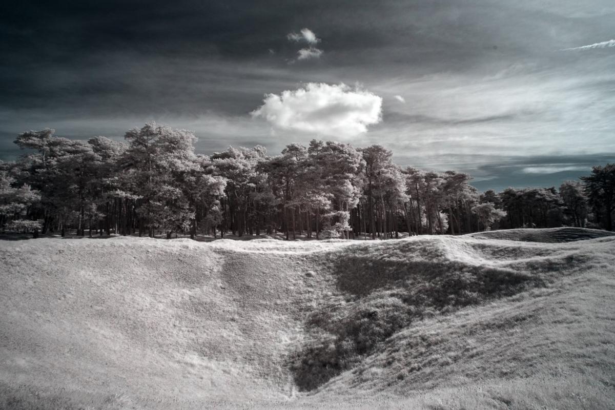 Vimy Ridge