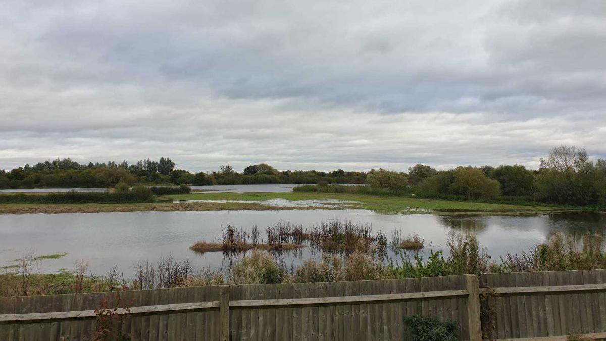 View of flooding from a resident's garden towards the proposed quarry site