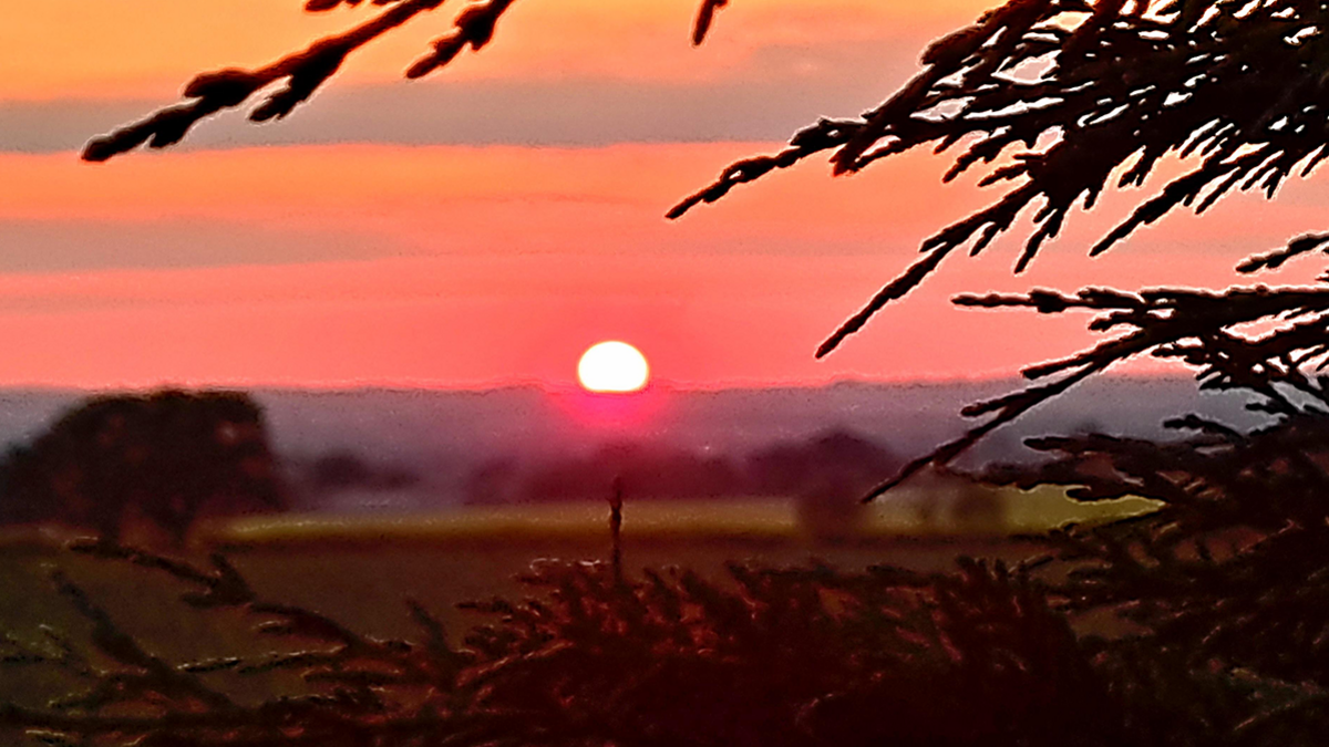 Sunset in Wolverhampton, with branches in foreground and a red-coloured sun dipping below the horizon