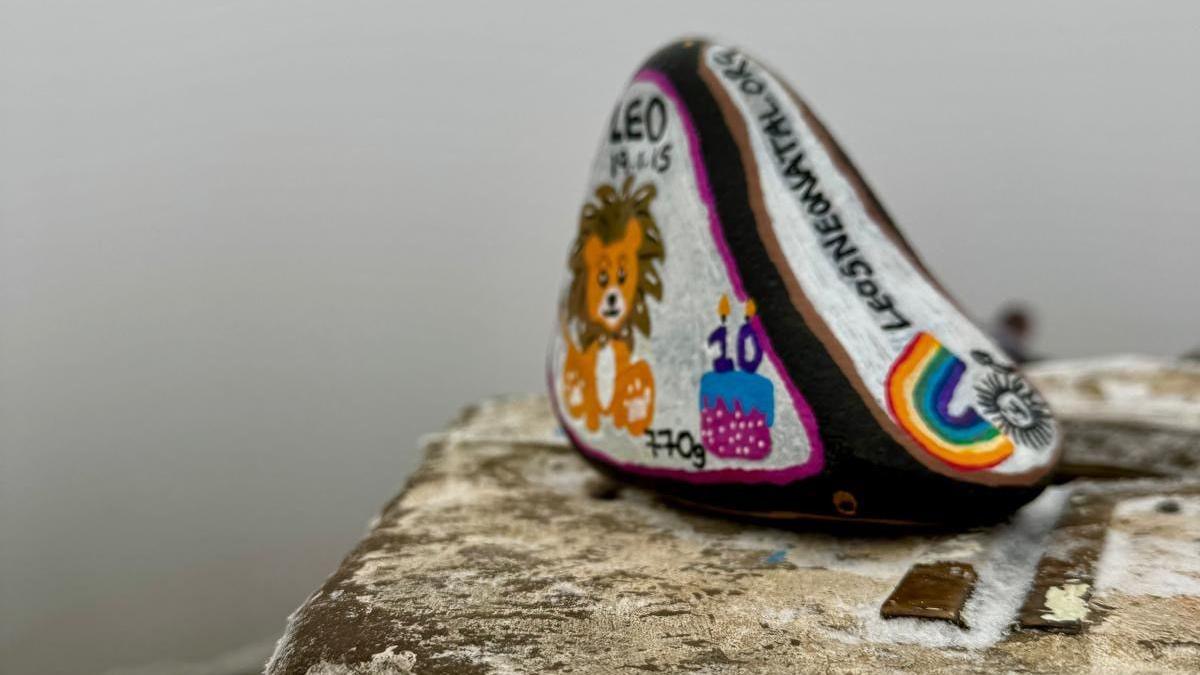 A stone which has had a lion painted on it sitting beside a 10th birthday cake. Leo's name has been written above the lion along with the date 19.1.15 and 770g.