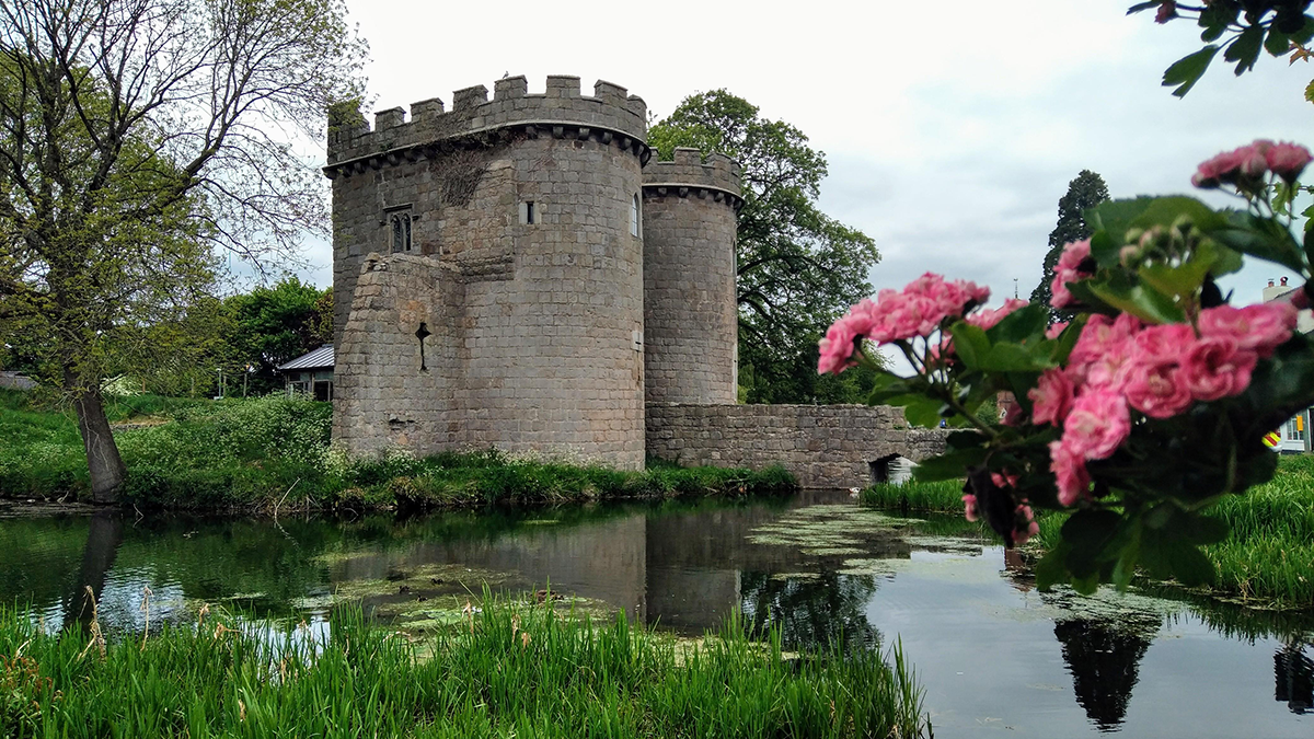 Part of Whittington Castle. Two large towers frame the entrance to the castle with a stone bridge over the decorative moat. There isa light pink rhododendron in bloom in the foreground on the right