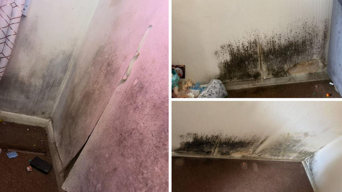Black mould in on the walls of a property